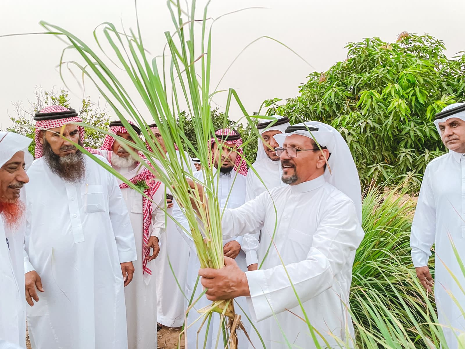 ورشة عمل تصنيع المنتجات العضوية